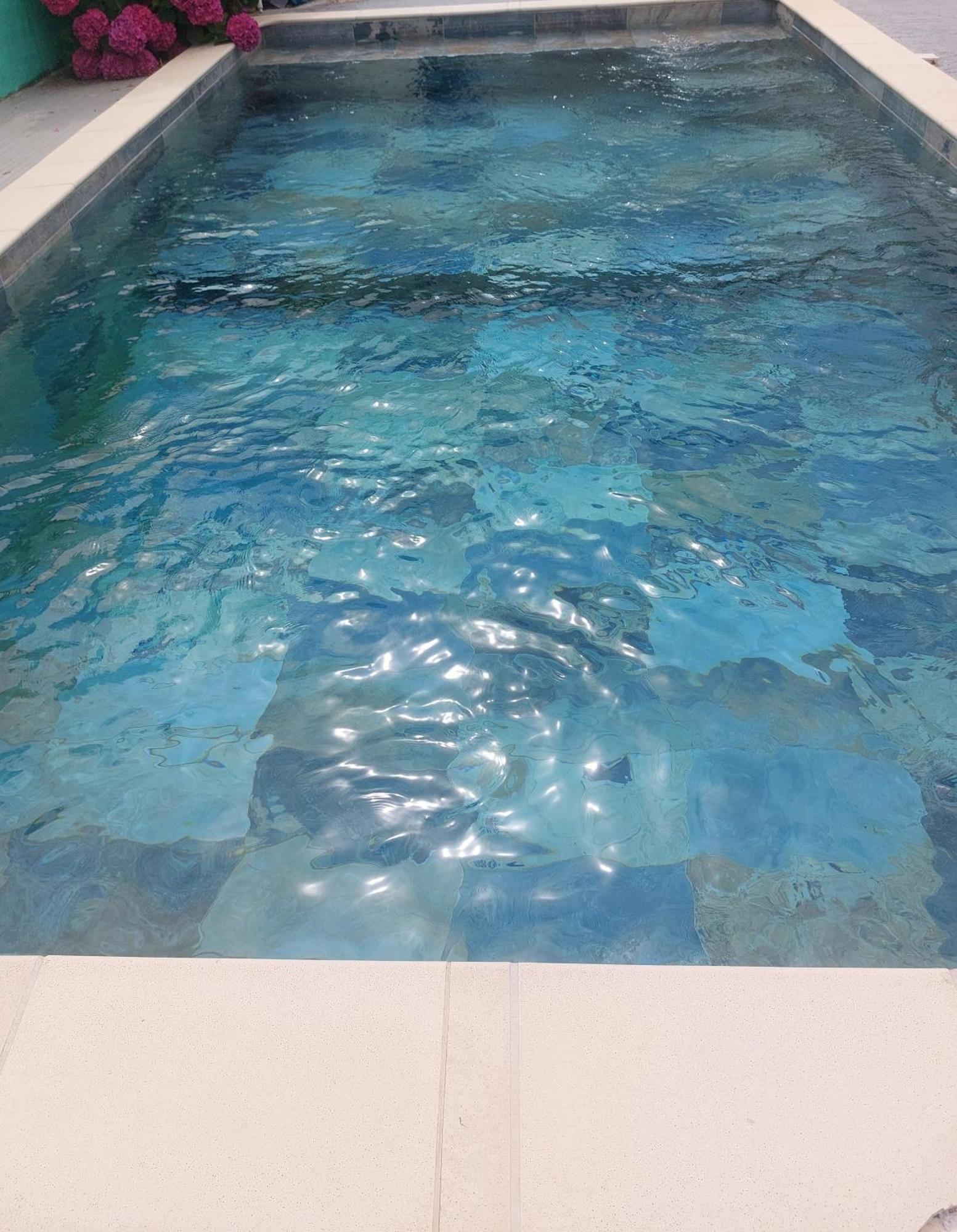 Bella Avec Piscine Et Jacuzzi Villa Saint-Fons
